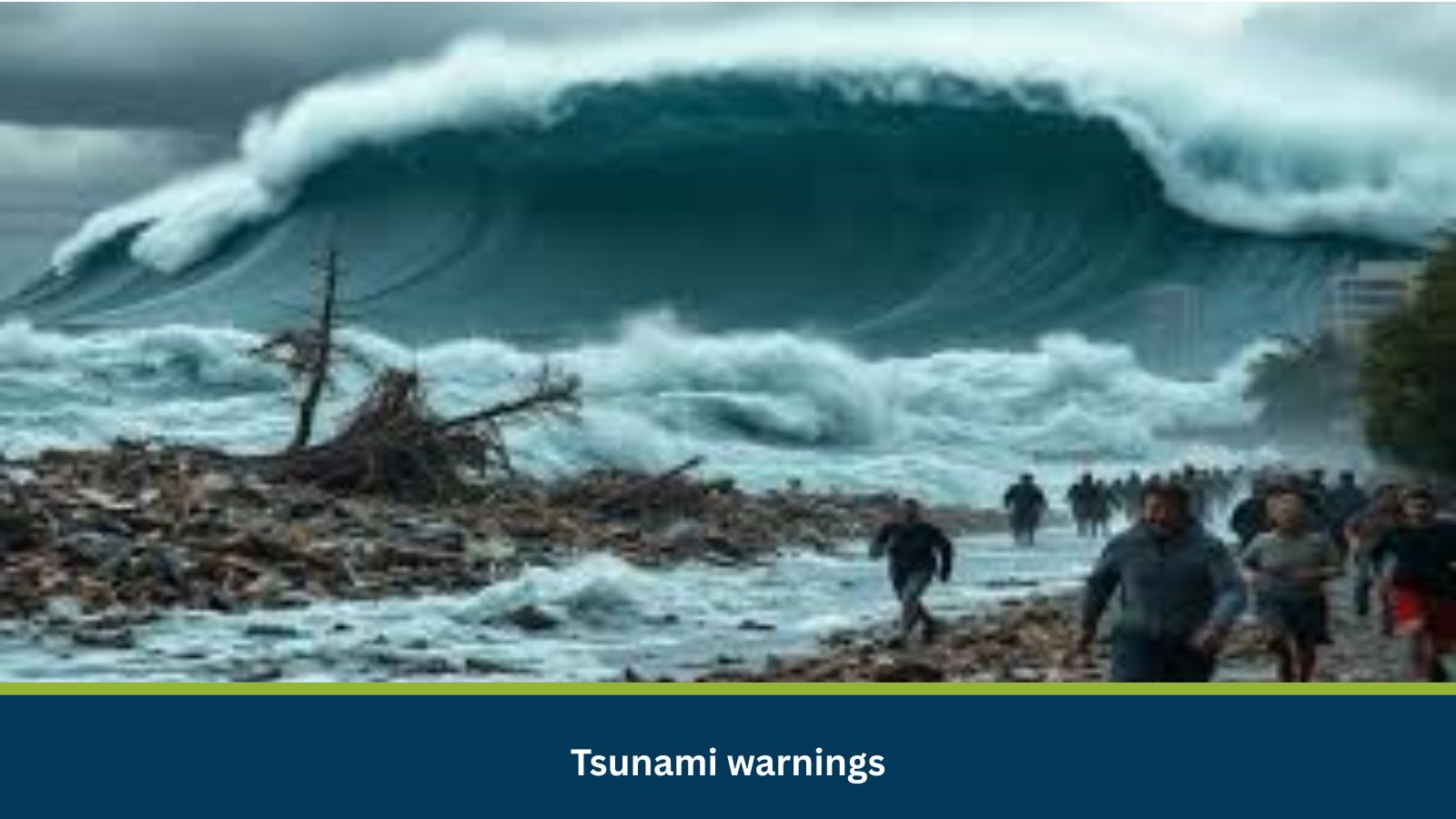 Tsunami warnings issued