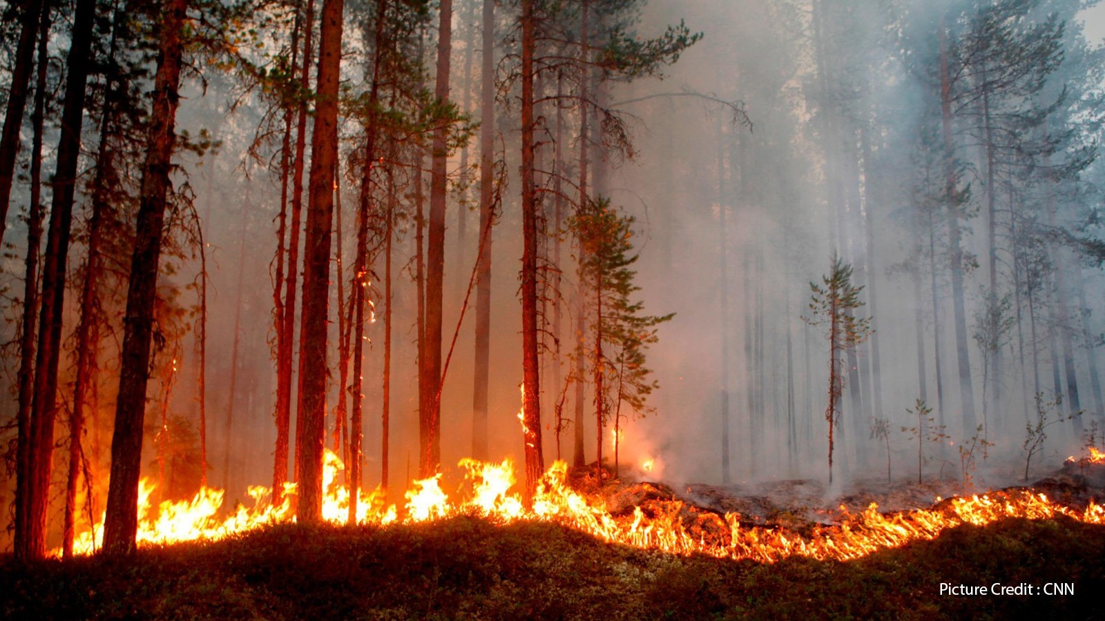 Wildfires Reported in Stockholm as of 02 July