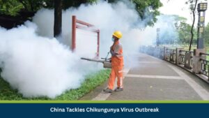 China Tackles Chikungunya Virus Outbreak