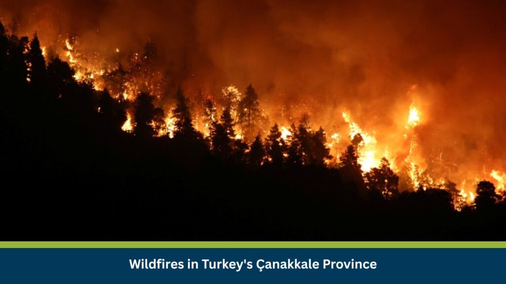 Wildfires in Turkey's Çanakkale Province