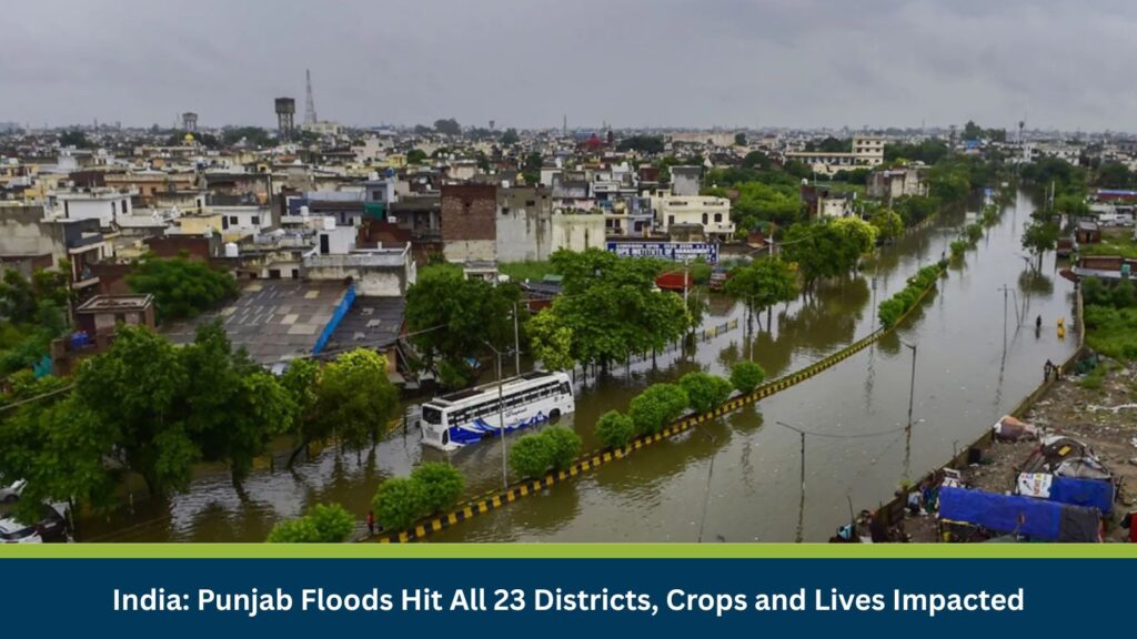 India: Punjab Floods Hit All 23 Districts, Crops and Lives Impacted