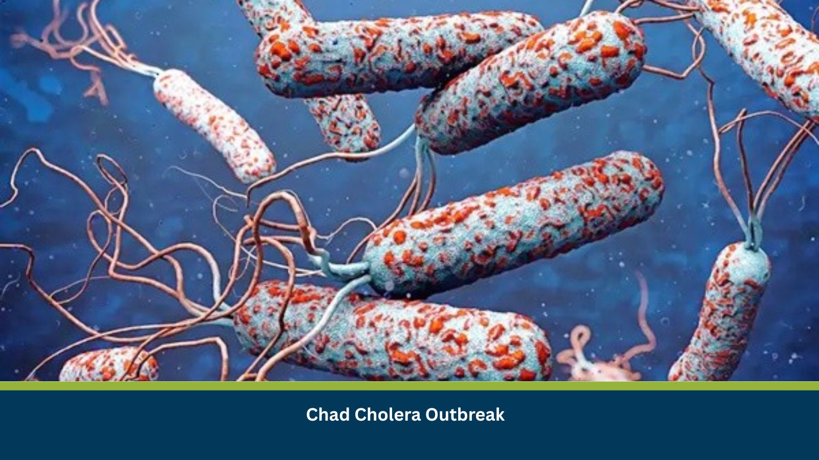Chad Cholera Outbreak