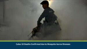 Mosquito-borne Illnesses