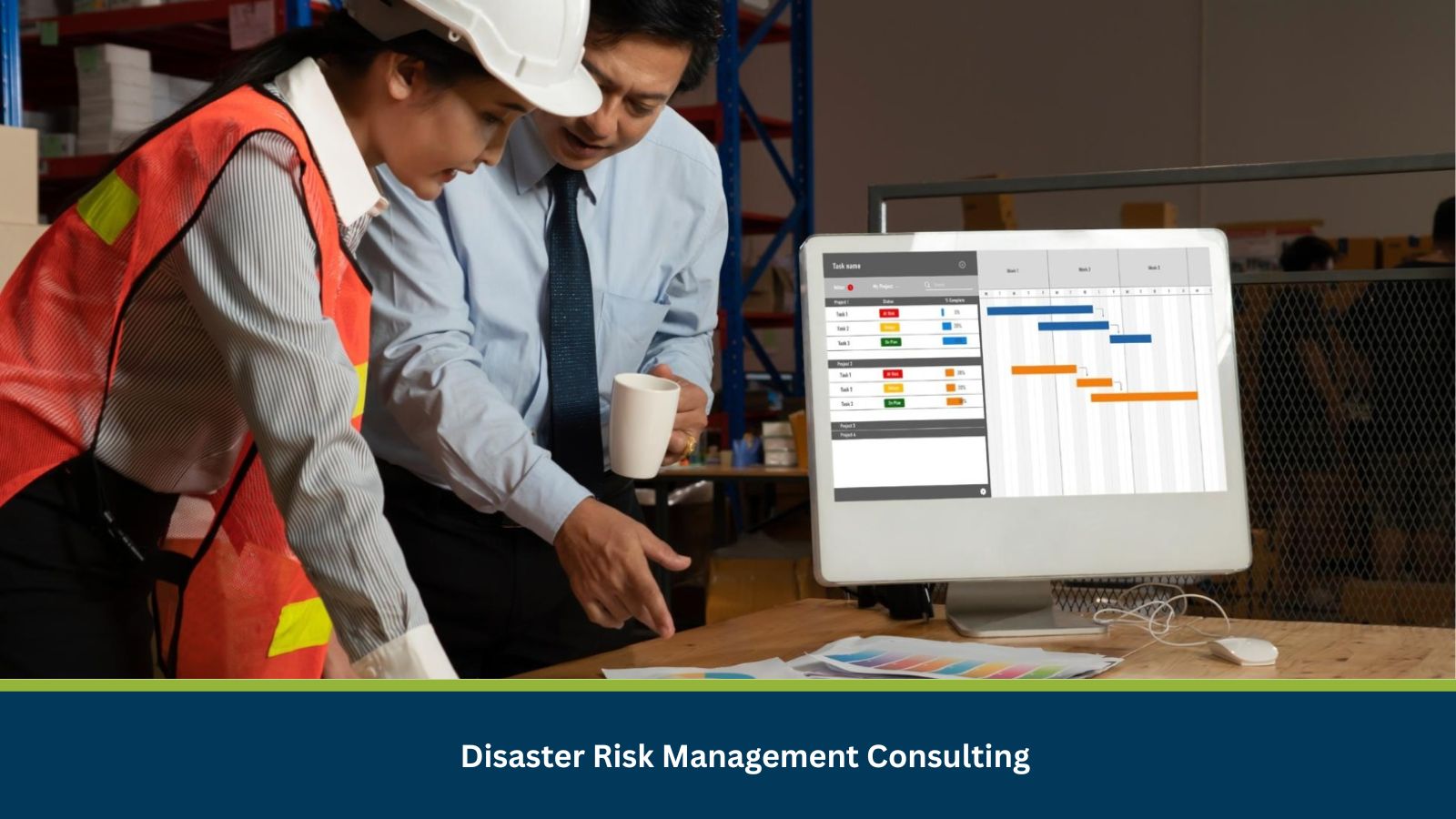 Disaster Risk Management Consulting
