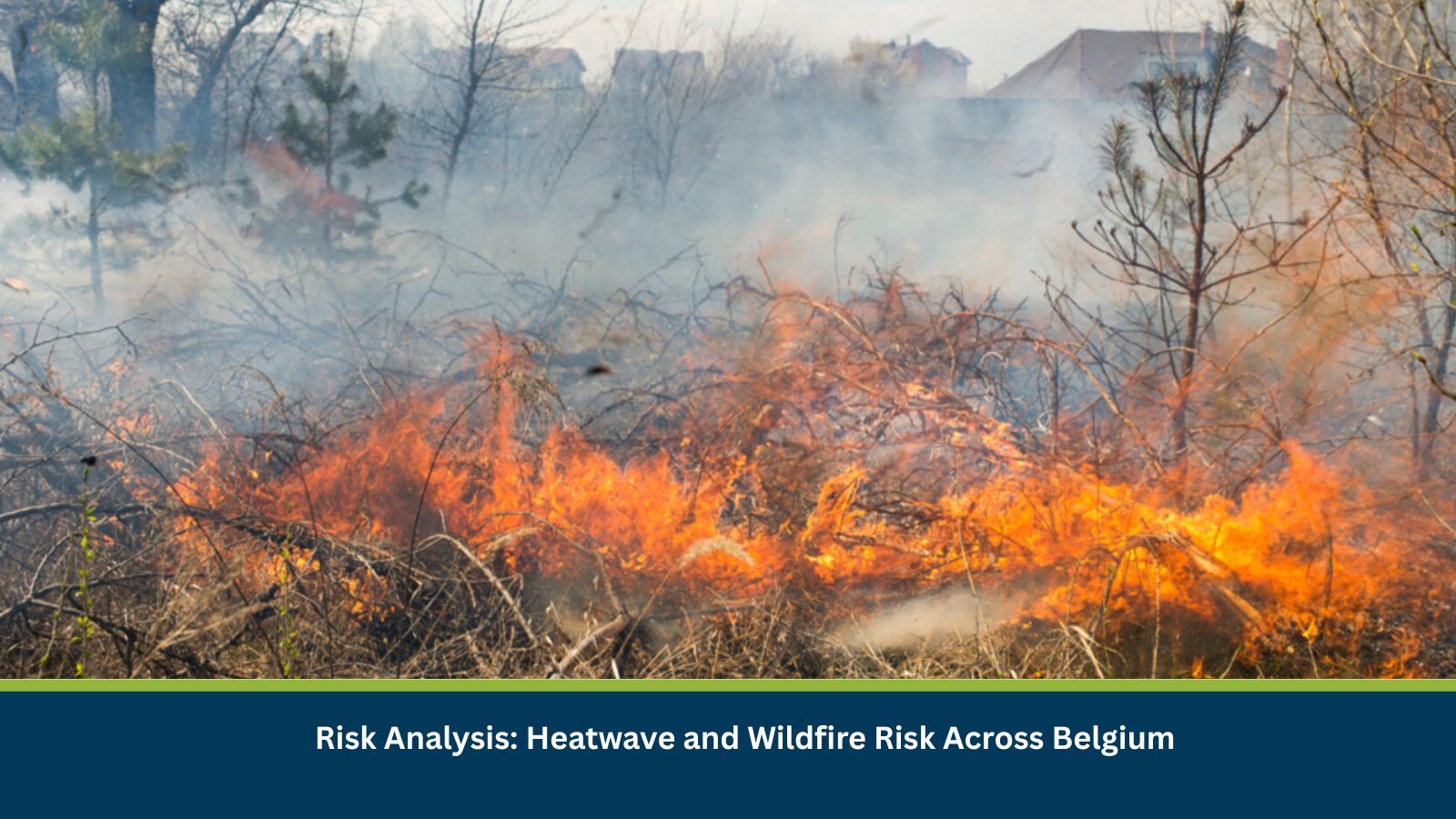 Heatwave and Wildfire Risk